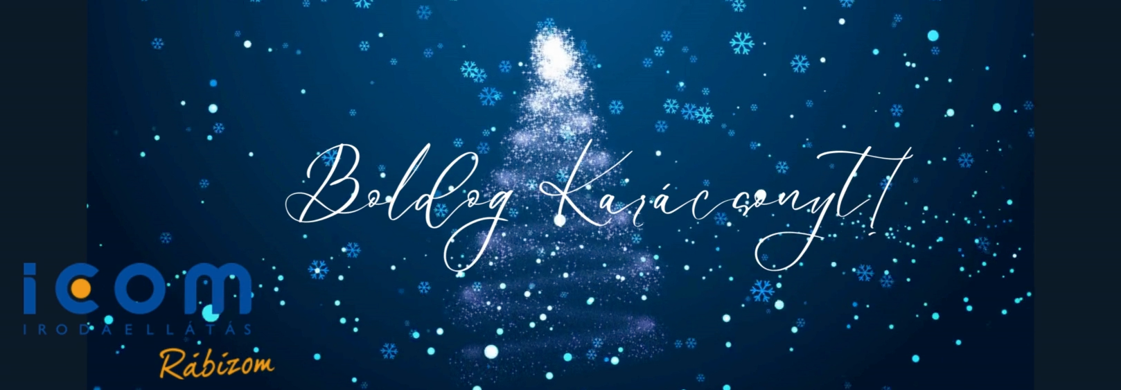 icom-2024-decemberi -video-slide